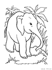 zou-nurie-075