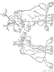 burazaa-bea-nurie-007