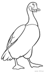 burazaa-bea-nurie-012