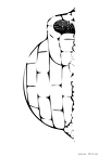 juutaku-nurie-057