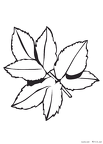 ha-nurie-016