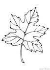 ha-nurie-018