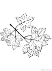 ha-nurie-025
