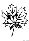 ha-nurie-026