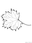 ha-nurie-027