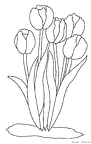 chuurippu-nurie-013
