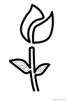 chuurippu-nurie-021