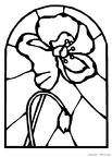 popii-nurie-001