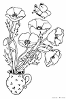 popii-nurie-006