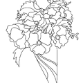 ramosu-nurie-006