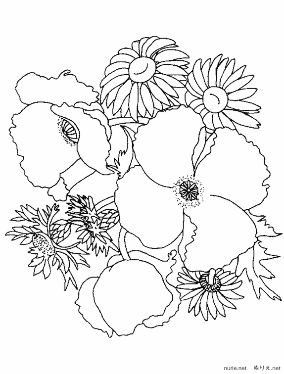 ramosu-nurie-009.png