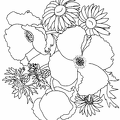 ramosu-nurie-009