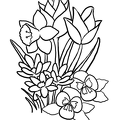 ramosu-nurie-011