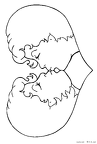 ai-nurie-008