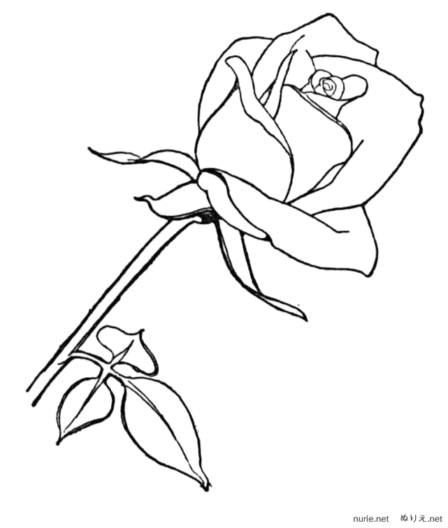 haha-no-hi-nurie-012.png