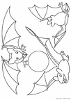 コウモリ