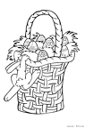 iisutaa-basuketto-nurie-019