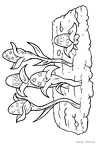 tanin-nurie-028