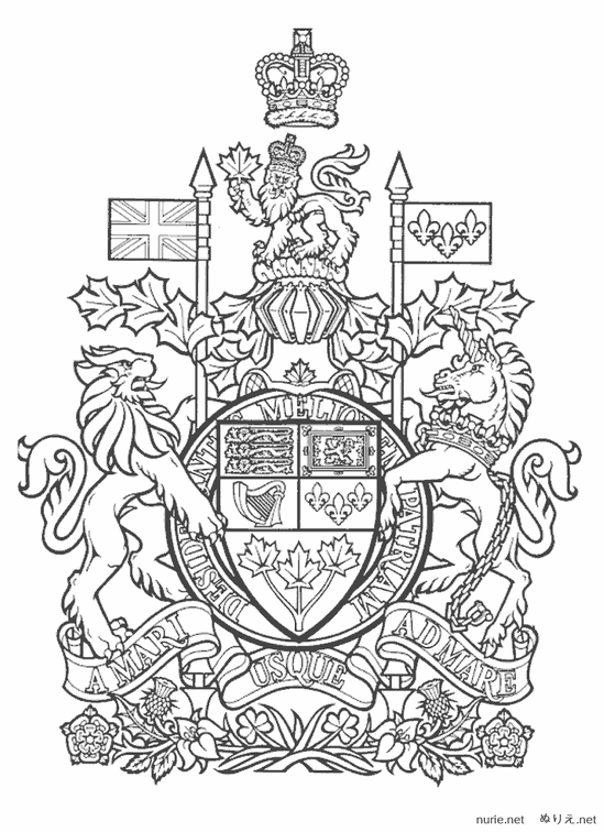 kanada-nurie-011.png