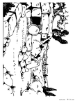 iesu-no-fukkatsu-nurie-007