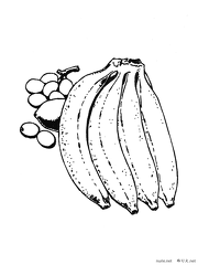 banana-nurie-009