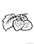 ichigo-nurie-004