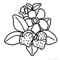 ichigo-nurie-009
