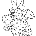 ichigo-nurie-012