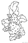 ichigo-nurie-012