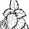 ichigo-nurie-022