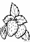 ichigo-nurie-022
