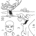 adibou-nurie-007