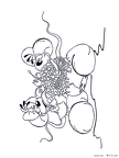 diddl-nurie-164