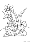mayabii-nurie-023