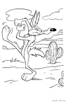 the-road-runner-nurie-007
