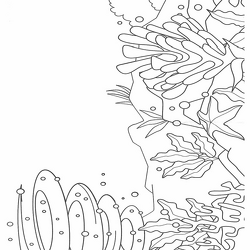 海