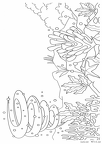 海